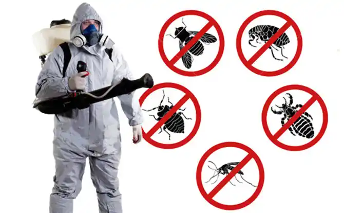 pest control Hutchins